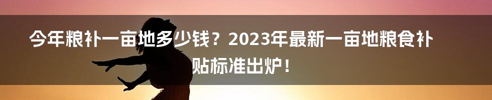 今年粮补一亩地多少钱？2023年最新一亩地粮食补贴标准出炉！