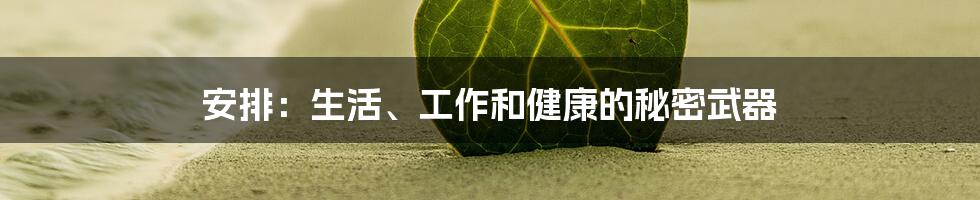 安排：生活、工作和健康的秘密武器