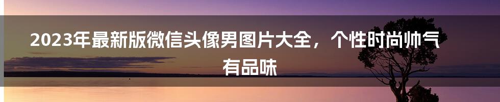 2023年最新版微信头像男图片大全，个性时尚帅气有品味