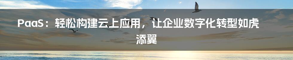 PaaS：轻松构建云上应用，让企业数字化转型如虎添翼