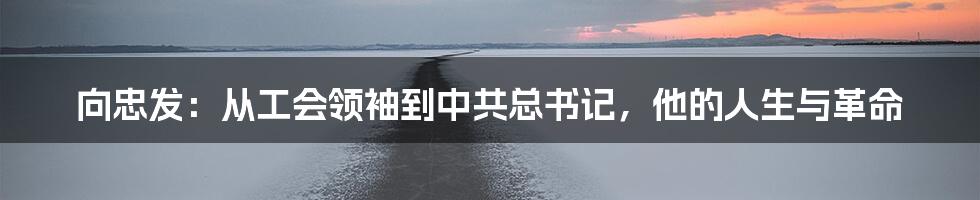 向忠发：从工会领袖到中共总书记，他的人生与革命