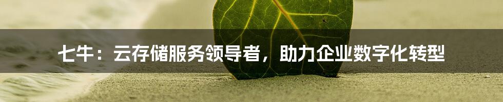 七牛：云存储服务领导者，助力企业数字化转型