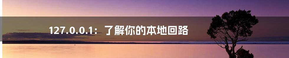 127.0.0.1：了解你的本地回路