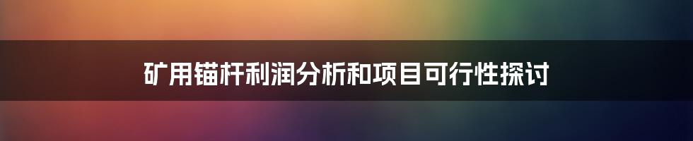 矿用锚杆利润分析和项目可行性探讨