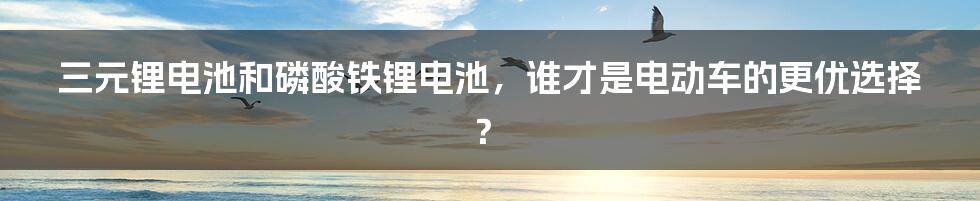 三元锂电池和磷酸铁锂电池，谁才是电动车的更优选择？