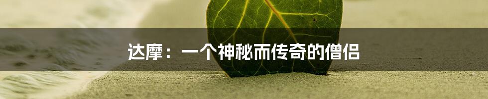 达摩：一个神秘而传奇的僧侣