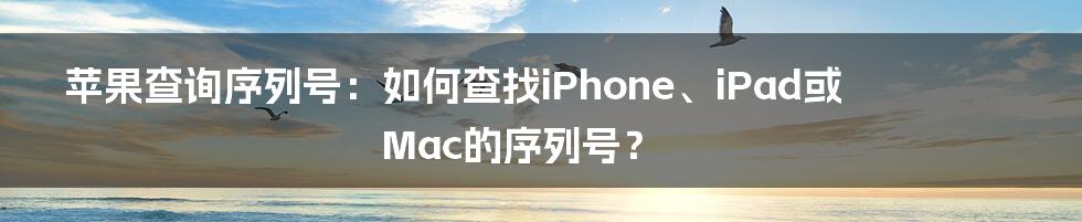 苹果查询序列号：如何查找iPhone、iPad或Mac的序列号？