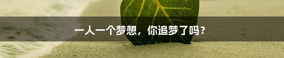 一人一个梦想，你追梦了吗？