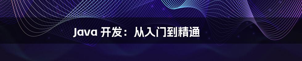 Java 开发：从入门到精通