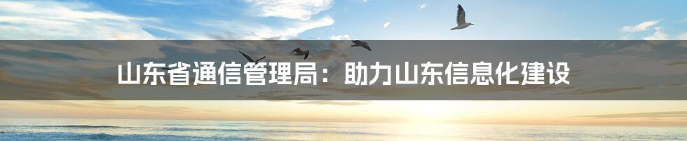 山东省通信管理局：助力山东信息化建设