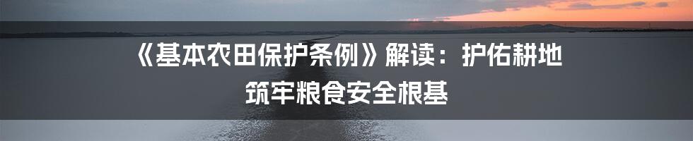 《基本农田保护条例》解读：护佑耕地 筑牢粮食安全根基