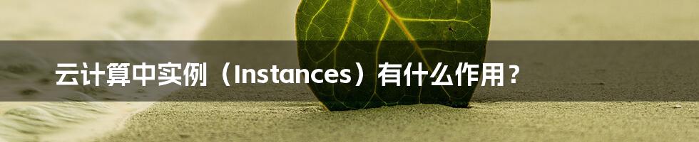 云计算中实例（Instances）有什么作用？