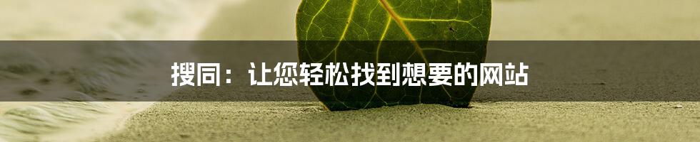 搜同：让您轻松找到想要的网站