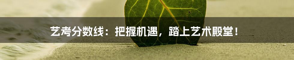 艺考分数线：把握机遇，踏上艺术殿堂！