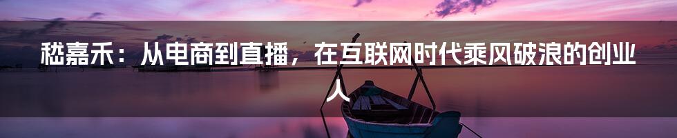 嵇嘉禾：从电商到直播，在互联网时代乘风破浪的创业人