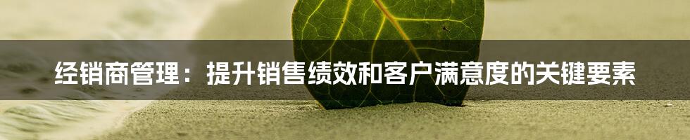 经销商管理：提升销售绩效和客户满意度的关键要素