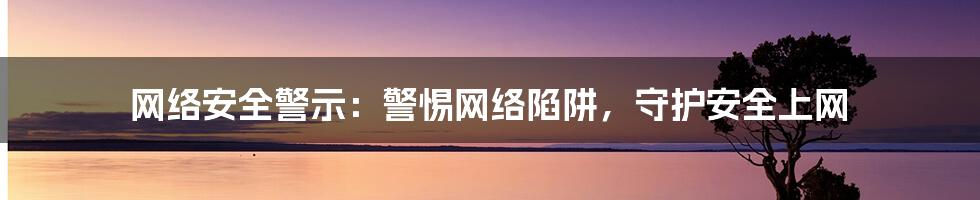 网络安全警示：警惕网络陷阱，守护安全上网