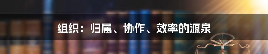 组织：归属、协作、效率的源泉