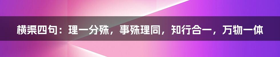 横渠四句：理一分殊，事殊理同，知行合一，万物一体