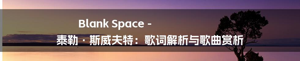 Blank Space - 泰勒·斯威夫特：歌词解析与歌曲赏析