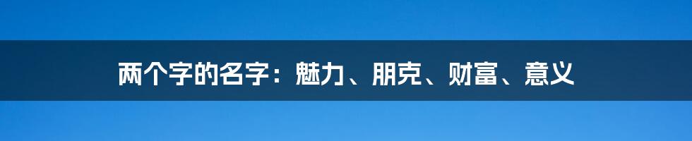 两个字的名字：魅力、朋克、财富、意义