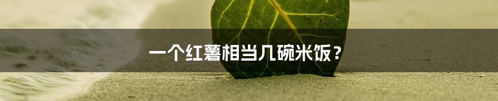 一个红薯相当几碗米饭？