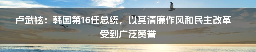 卢武铉：韩国第16任总统，以其清廉作风和民主改革受到广泛赞誉