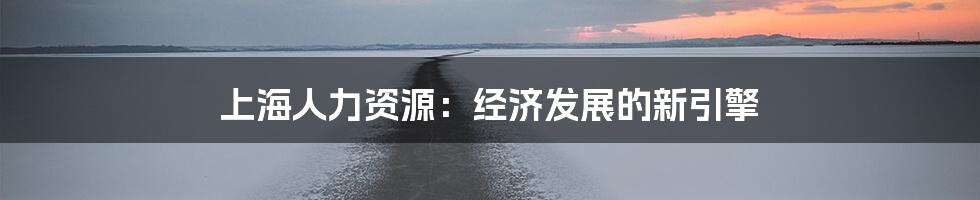 上海人力资源：经济发展的新引擎