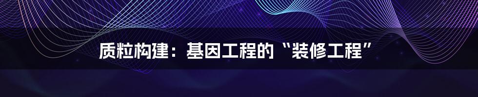 质粒构建：基因工程的“装修工程”