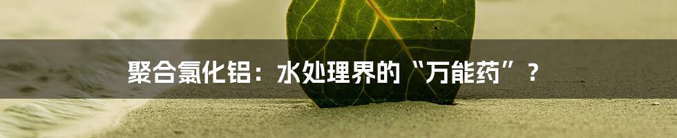 聚合氯化铝：水处理界的“万能药”？