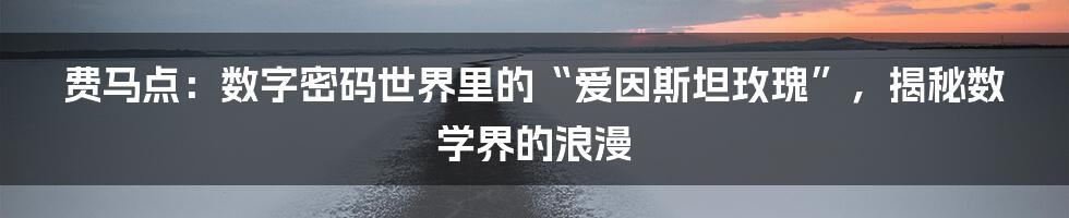 费马点：数字密码世界里的“爱因斯坦玫瑰”，揭秘数学界的浪漫