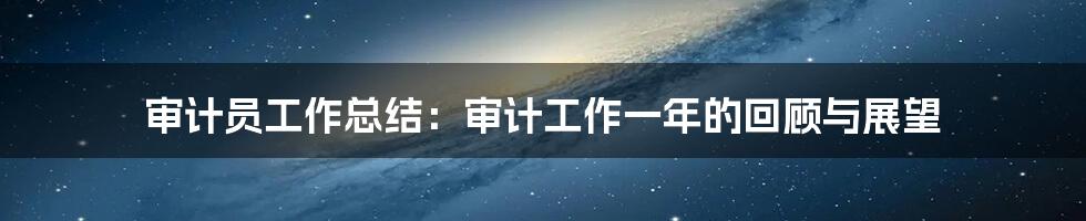 审计员工作总结：审计工作一年的回顾与展望