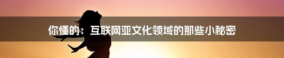 你懂的：互联网亚文化领域的那些小秘密