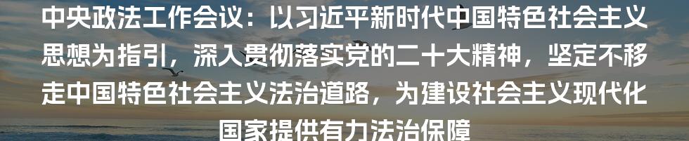 中央政法工作会议：以习近平新时代中国特色社会主义思想为指引，深入贯彻落实党的二十大精神，坚定不移走中国特色社会主义法治道路，为建设社会主义现代化国家提供有力法治保障