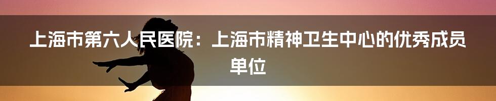 上海市第六人民医院：上海市精神卫生中心的优秀成员单位