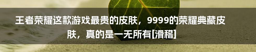 王者荣耀这款游戏最贵的皮肤，9999的荣耀典藏皮肤，真的是一无所有[滑稽]