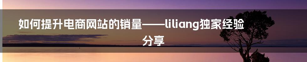 如何提升电商网站的销量——liliang独家经验分享