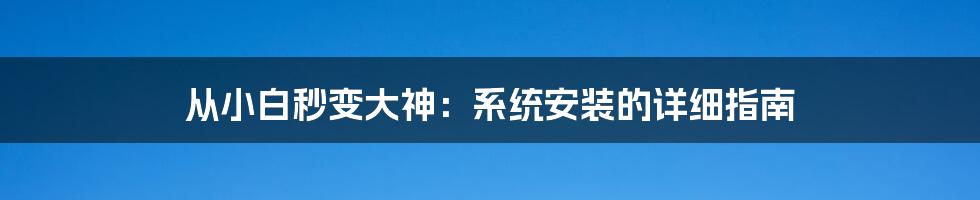 从小白秒变大神：系统安装的详细指南