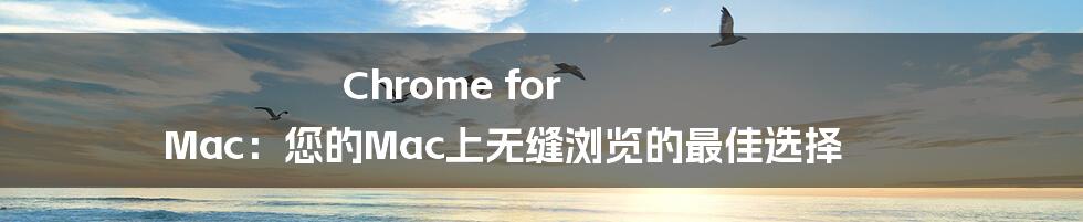 Chrome for Mac：您的Mac上无缝浏览的最佳选择