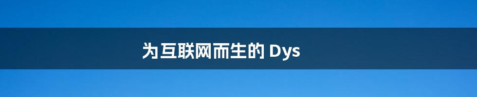 为互联网而生的 Dys