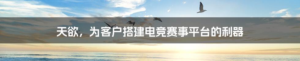 天欲，为客户搭建电竞赛事平台的利器