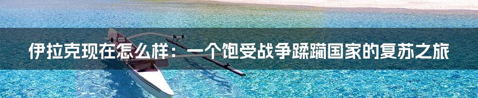 伊拉克现在怎么样：一个饱受战争蹂躏国家的复苏之旅