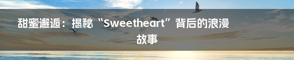 甜蜜邂逅：揭秘“Sweetheart”背后的浪漫故事