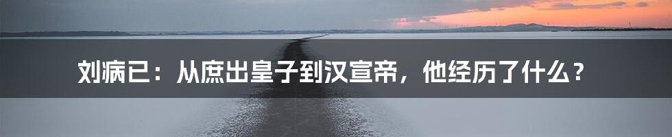 刘病已：从庶出皇子到汉宣帝，他经历了什么？