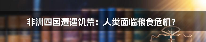 非洲四国遭遇饥荒：人类面临粮食危机？