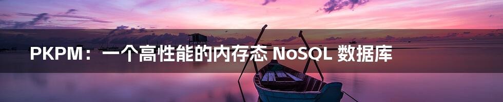 PKPM：一个高性能的内存态 NoSQL 数据库