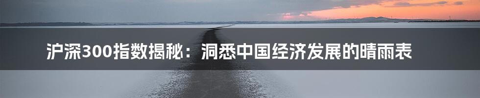 沪深300指数揭秘：洞悉中国经济发展的晴雨表