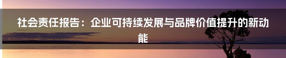 社会责任报告：企业可持续发展与品牌价值提升的新动能