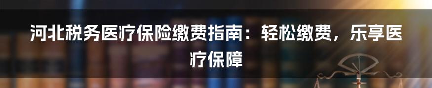 河北税务医疗保险缴费指南：轻松缴费，乐享医疗保障