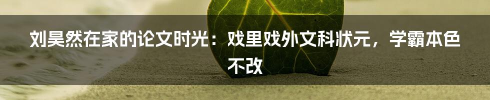 刘昊然在家的论文时光：戏里戏外文科状元，学霸本色不改